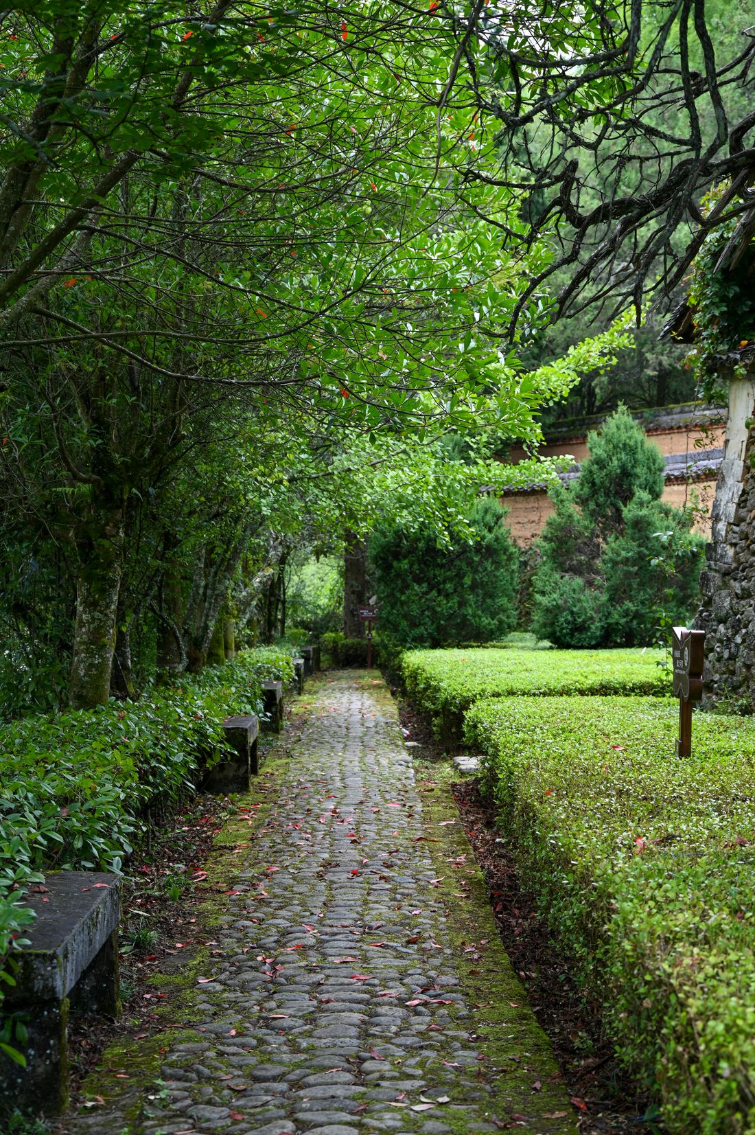 Démonstration : Cazaux Paysages, allée de pierre dans un jardin dessiné